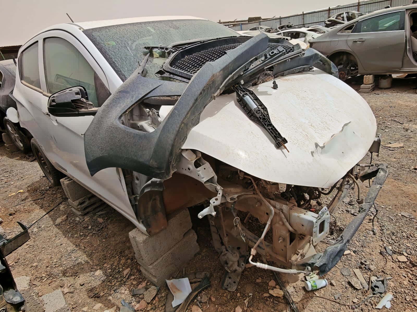 صورة 2