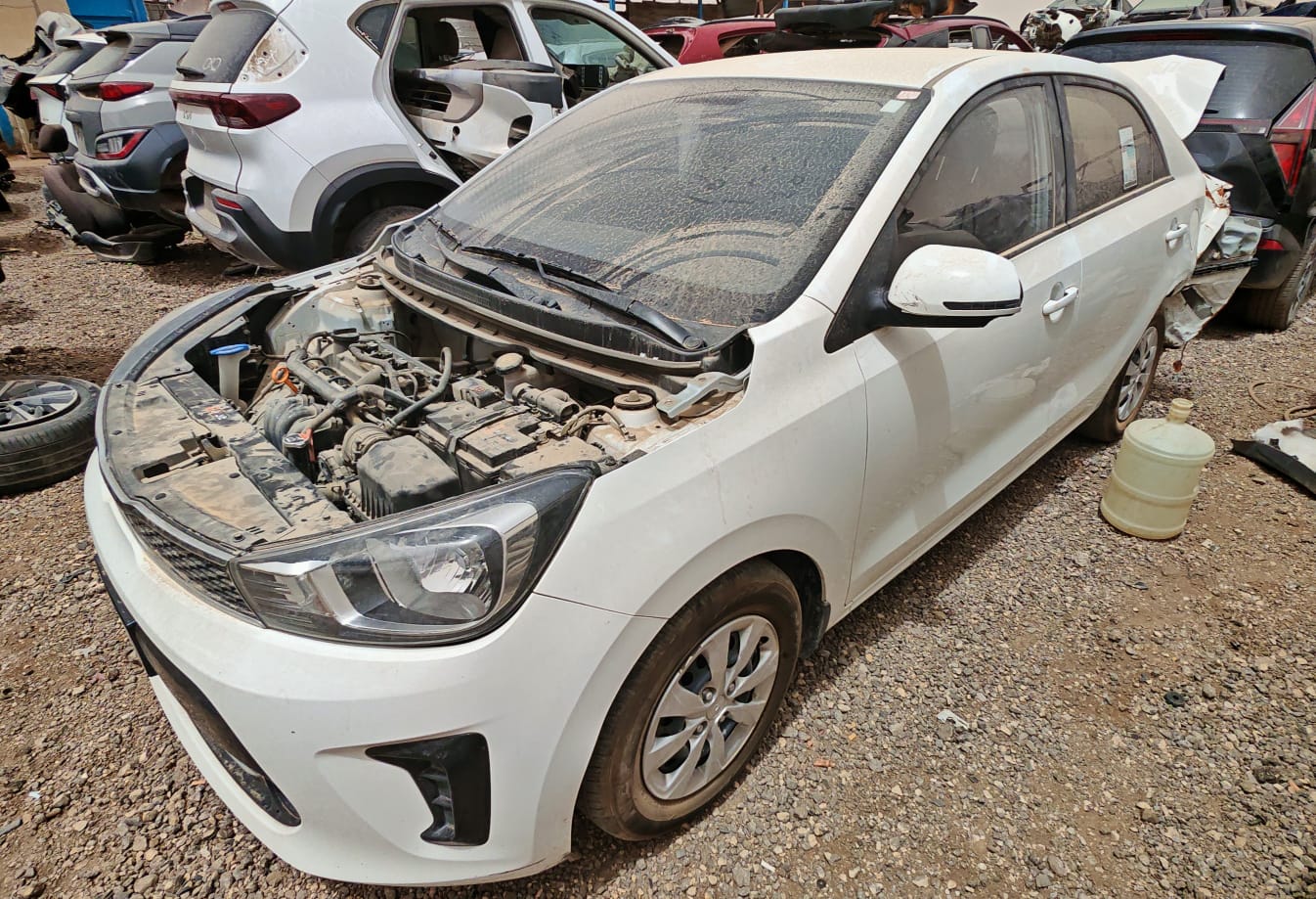 صورة 2