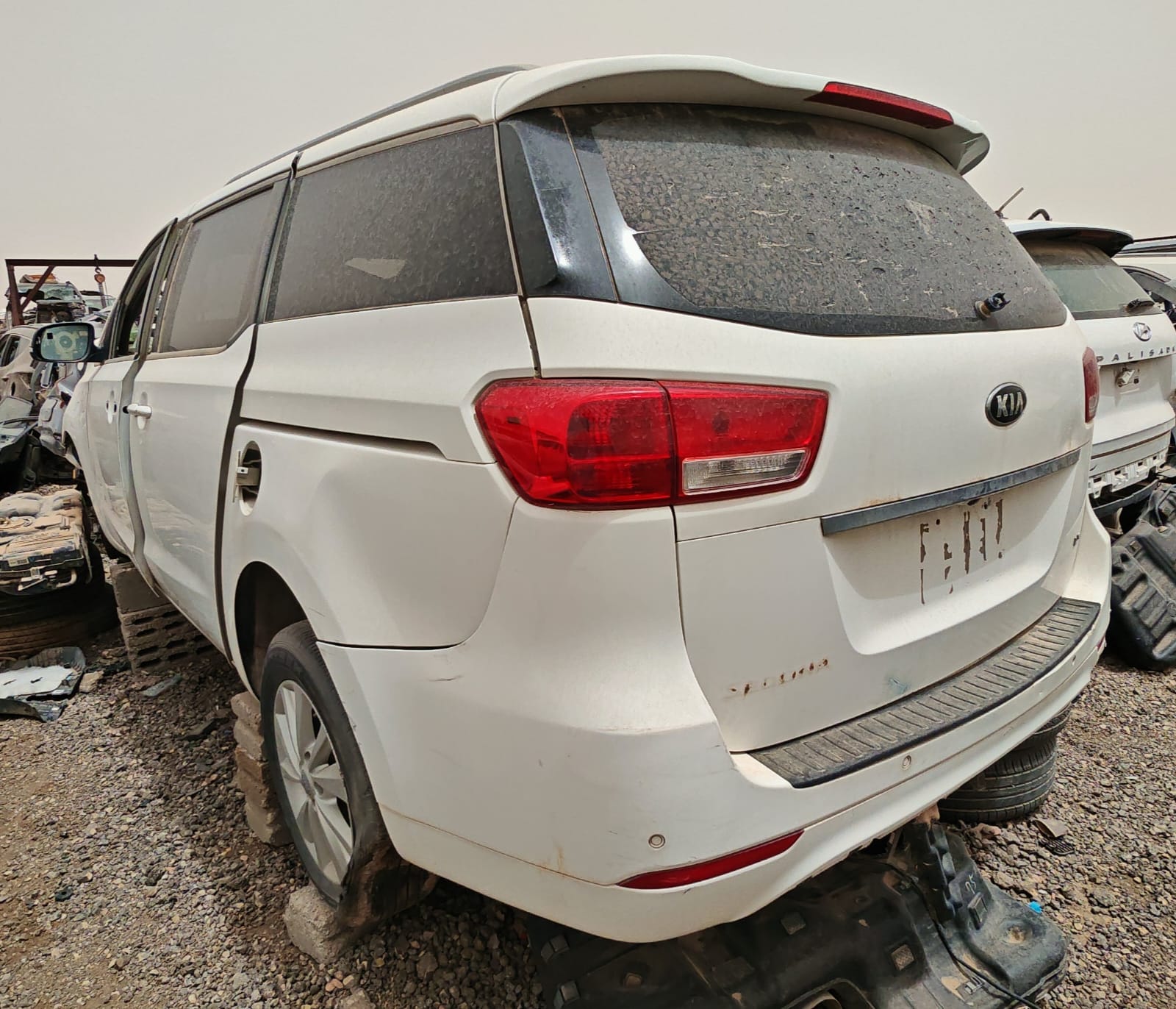 صورة 3