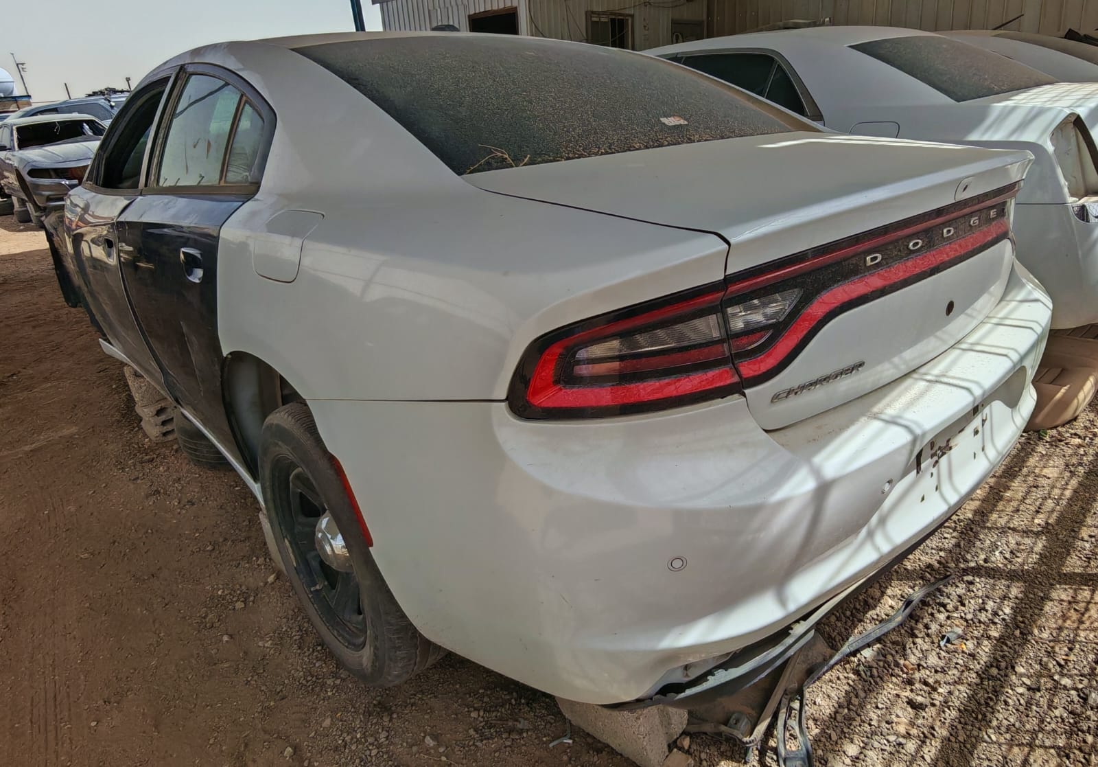 دودج Charger